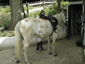 PIC00034