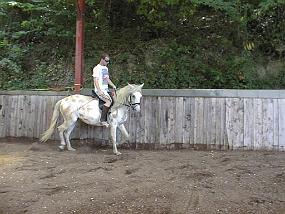 PIC00037
