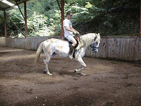 PIC00039