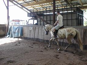 PIC00042