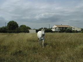 PIC00001
