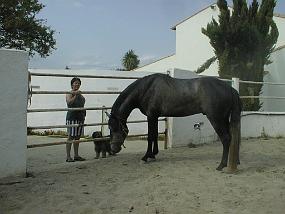 PIC00010