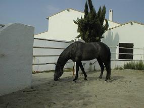 PIC00011