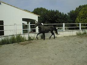 PIC00017