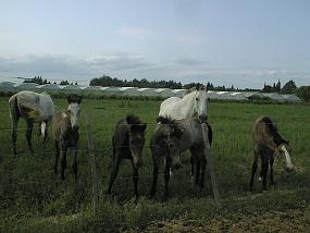 PIC00022