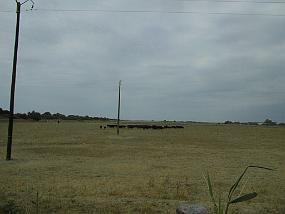 PIC00027