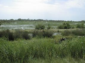 PIC00029