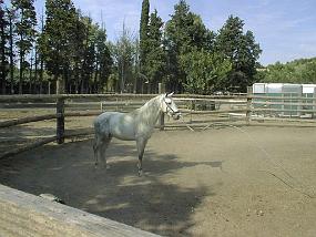PIC00032