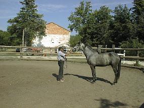 PIC00033