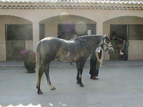 pic00024