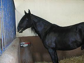 pic00026