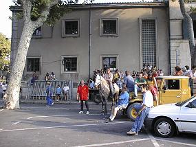 pic00032