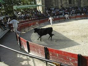 pic00006