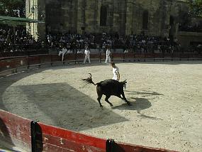 pic00007