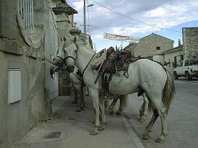 pic00008