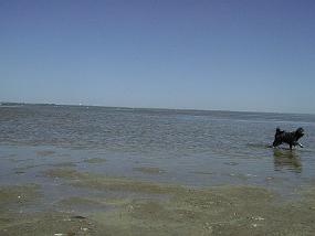 pic00020