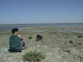 pic00021
