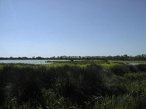 pic00029