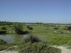 pic00030