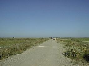 pic00032
