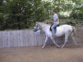 pic00008