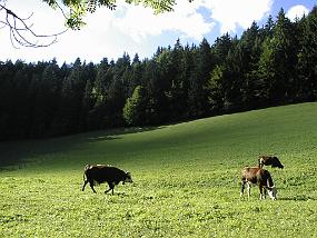 pic00027