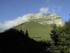 pic00035