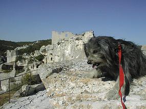 pic00006