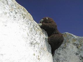 pic00008