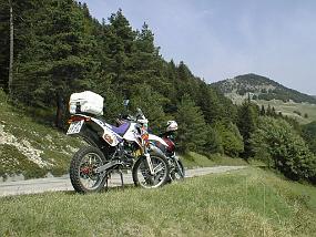 pic00010