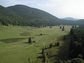 pic00025