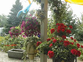 pic00007