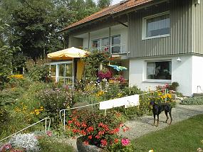 pic00011
