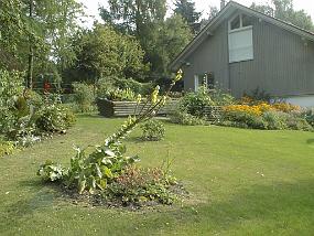 pic00029