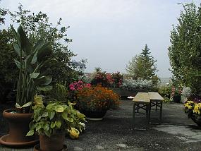 pic00007