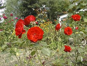 pic00017