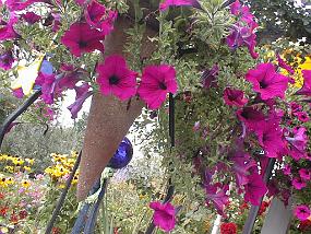 pic00039