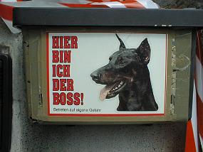 pic00029