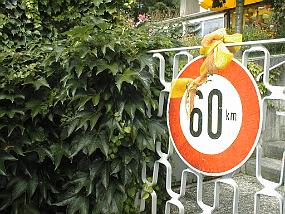 pic00030