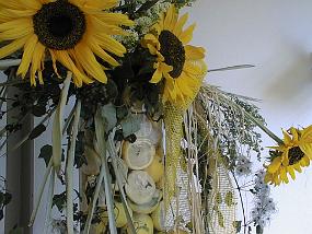 pic00036