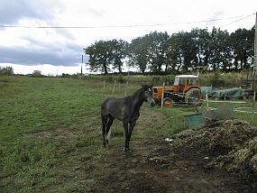 pic00001