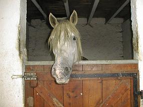 pic00017