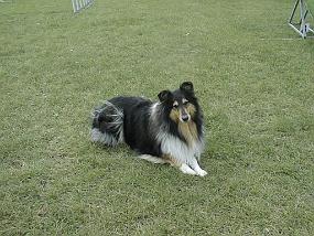 pic00003