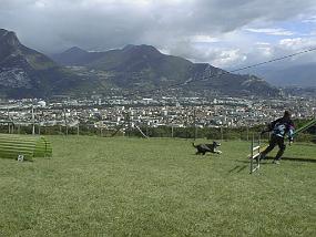 pic00011