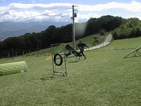 pic00015