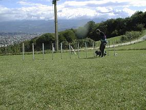 pic00017