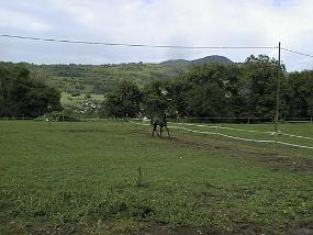 pic00022