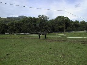 pic00028