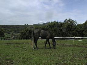 pic00032