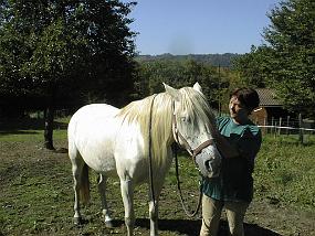 pic00008